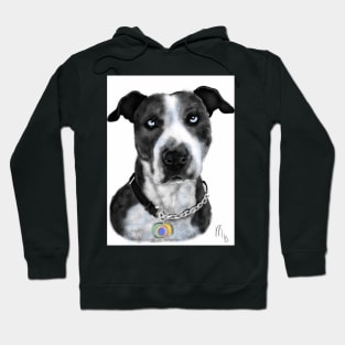 Pit Bull with Blue Eyes Hoodie